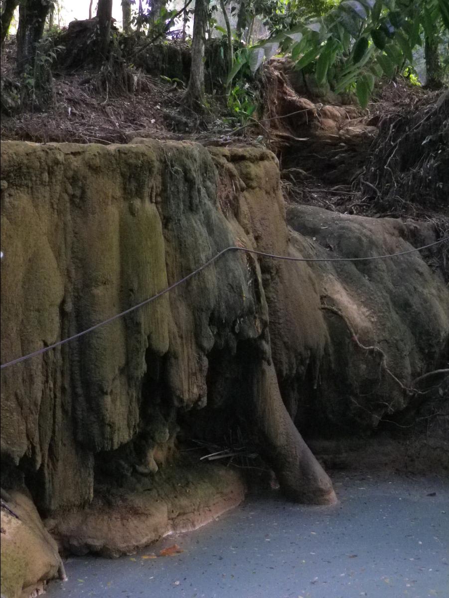 Agua Azul Waterfall32